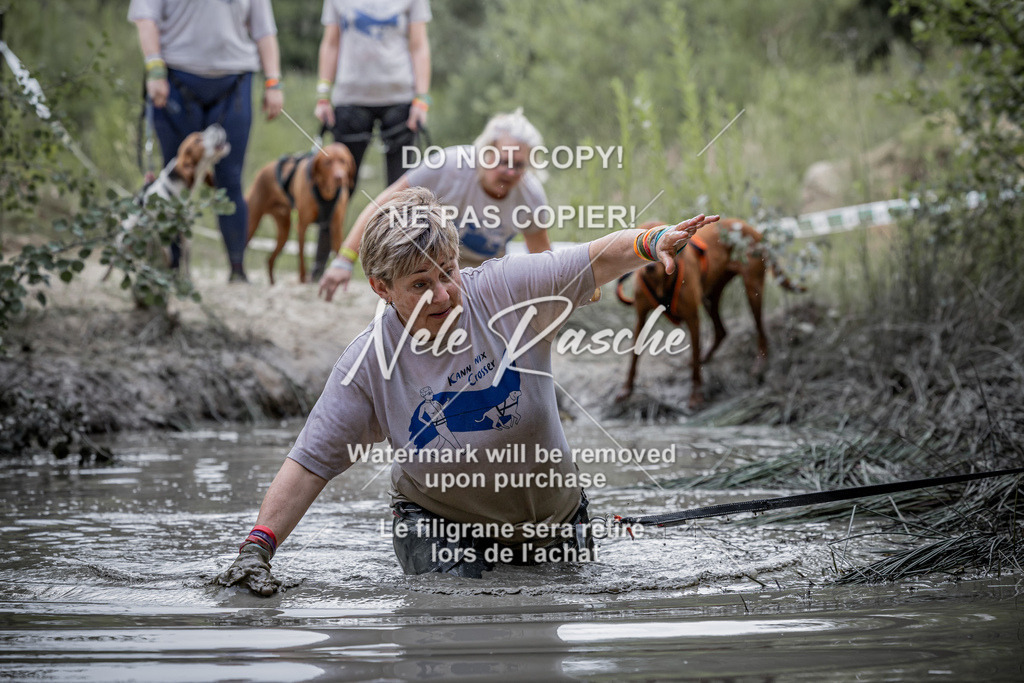 nelerasche_so1145-1230_296 | nelerasche