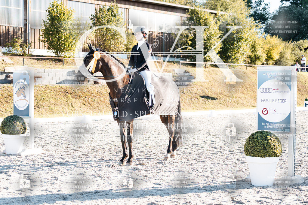CK907244 | Turnierfotografie Pferdefotografie Trier Rheinland-Pfalz Pferdesport Reitsport Tierfotografie Sportfotografie Pferdevideo Pferdevideografie Equestrianvideography equestrianphotography  - Realisiert mit Pictrs.com