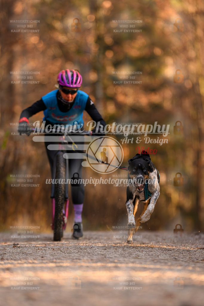 MompixPhotography_DM_AKDM_SO_2025_Scooter-114 | PayLife