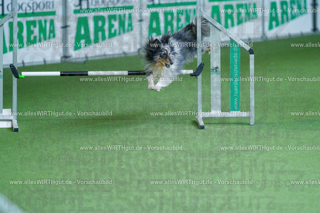 @allesWIRTHgut_Tierfotografie - www.allesWIRTHgut.de - 2604261338-7R502323 | Professionelle Tierfotografie in Mönchengladbach von Daniel Wirth (allesWIRTHgut). Liebevolle & natürliche Bilder von Hunden & Katzen für unvergessliche Erinnerungen.