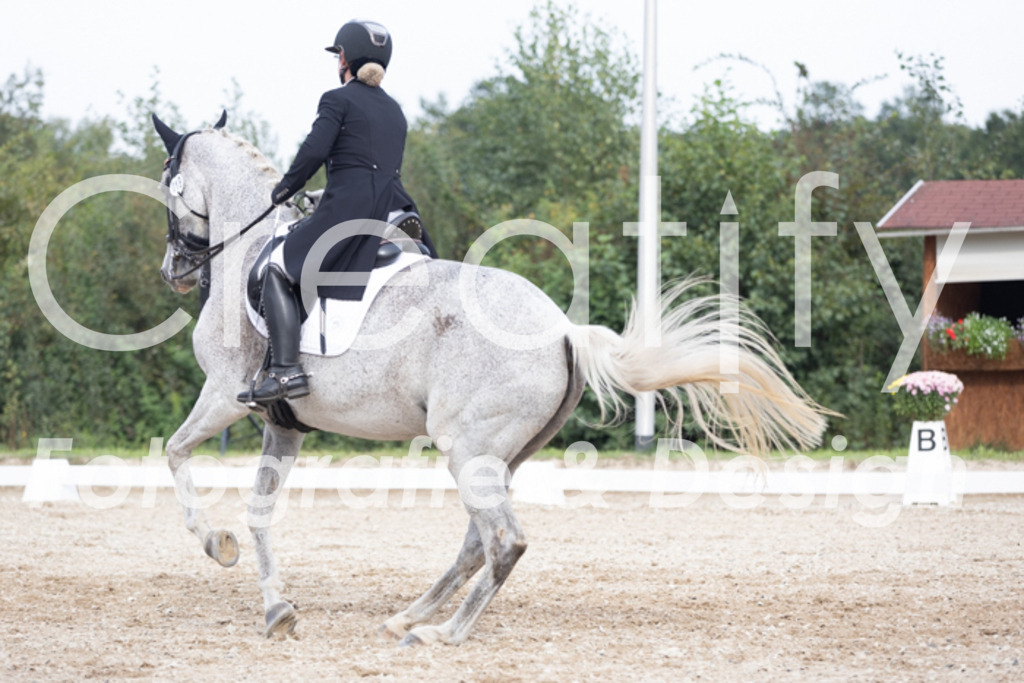 IMG_5098 | Creatify Fotografie