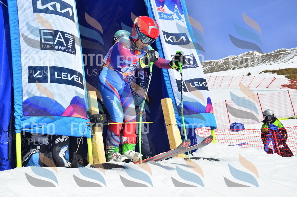 _ELE0691 | holidayphoto