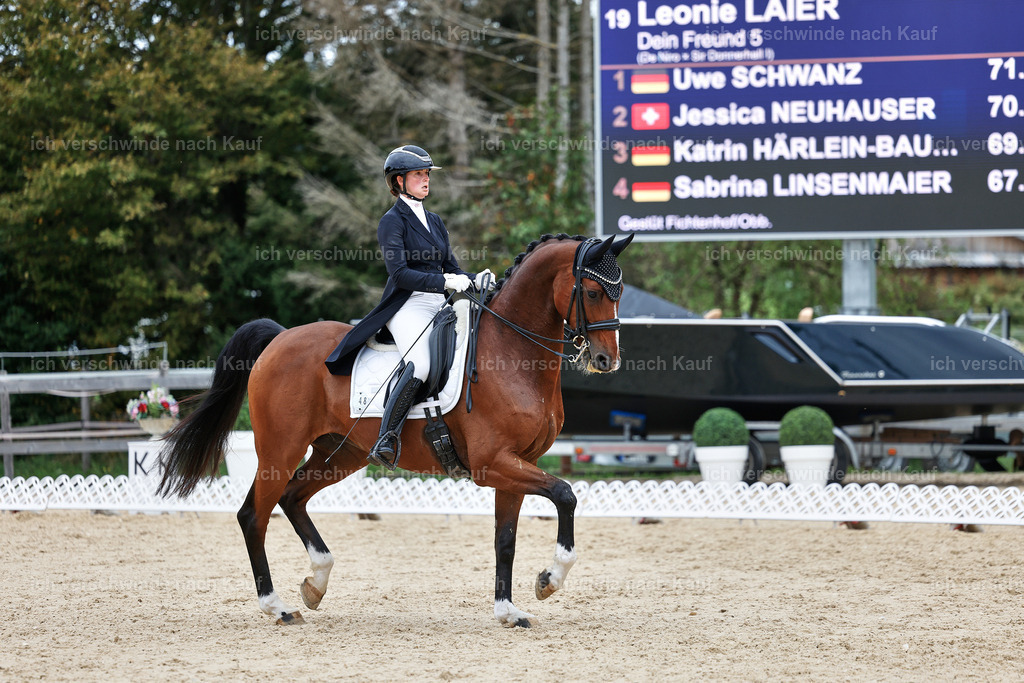 11-048-Dressur S___-StoibPH-1417 | working equitationturnier fotograf videograf stoibphotography marixx film working equitation deutschland reitsport turnierfotografie eventfotografie equestrian events