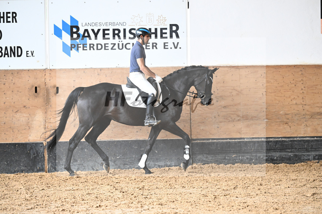 Kat-Nr. 3 Gini v. Millennium_Stadelmann_31250124 | hf-fotografie - Realizzato con Pictrs.com