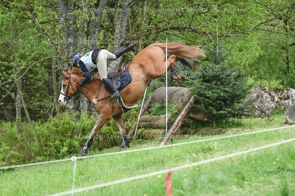 20230513_CCI2_Section2_Gelände_0059 | equistock
