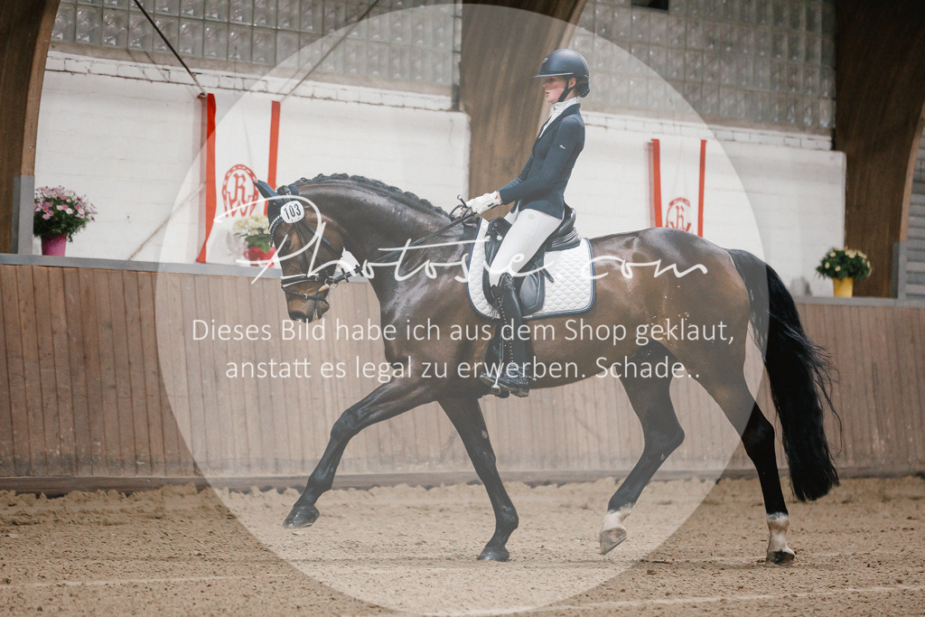 3I6A5826 | Stimmungsvolle Portraits und Reitsportfotografie im Ruhrgebiet und im Münsterland.

Pferdefotografie, Hundefotografie, Tierfotografie, Reportagen, Portraits von Tier und Mensch, Turnierfotografie in Bochum, Recklinghausen, Marl, Haltern am See, Dülmen.. - Realisiert mit Pictrs.com