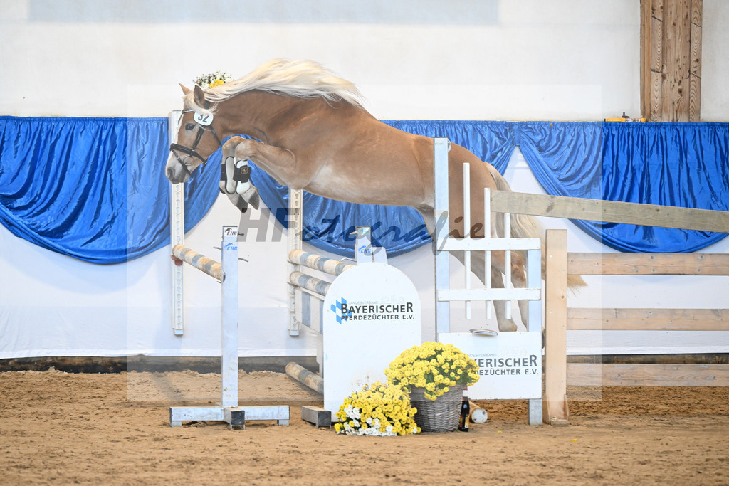 Kat-Nr. 32 Walkman Junior v. Walkman M_Schwarz_48250626 | hf-fotografie - Realisiert mit Pictrs.com