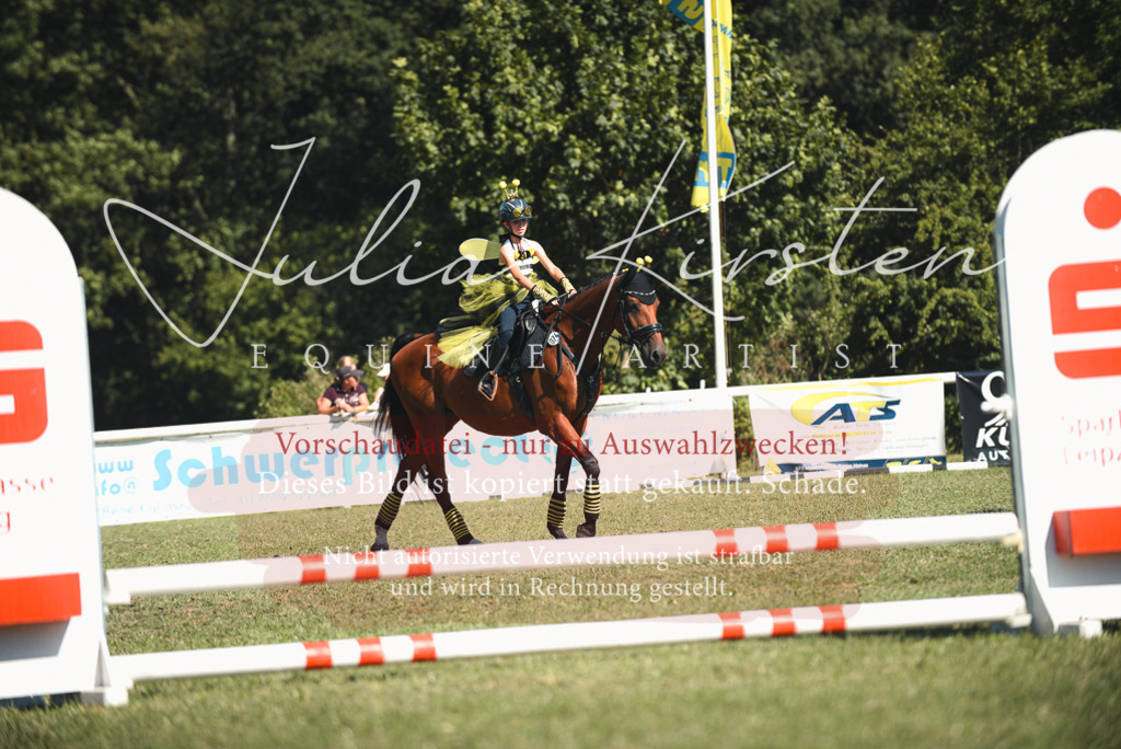 DSC_7476 | Pferde- und Turnierfotografie in Westsachsen. Pferdeportraits, Auftragszeichnungen und intuitive Kunst.