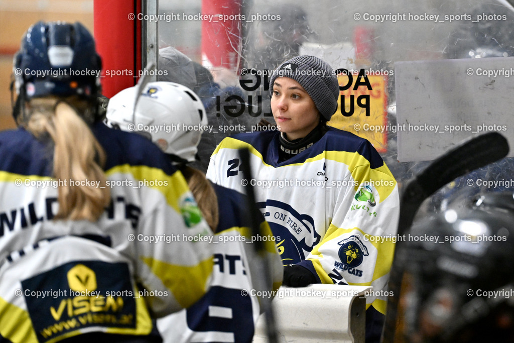 Wildcats Paternion vs. Lady Hawks  | Spielerbank Wildcats Paternion, #24 EisendleAlexandra Wildcats Paternion, Wildcats Paternion vs. Lady Hawks , Wildcats Paternion vs. Lady Hawks  am 27.01.2025 in Spittal an der Drau (Eissportzentrum Spittal), Austria, (Photo by Bernd Stefan)