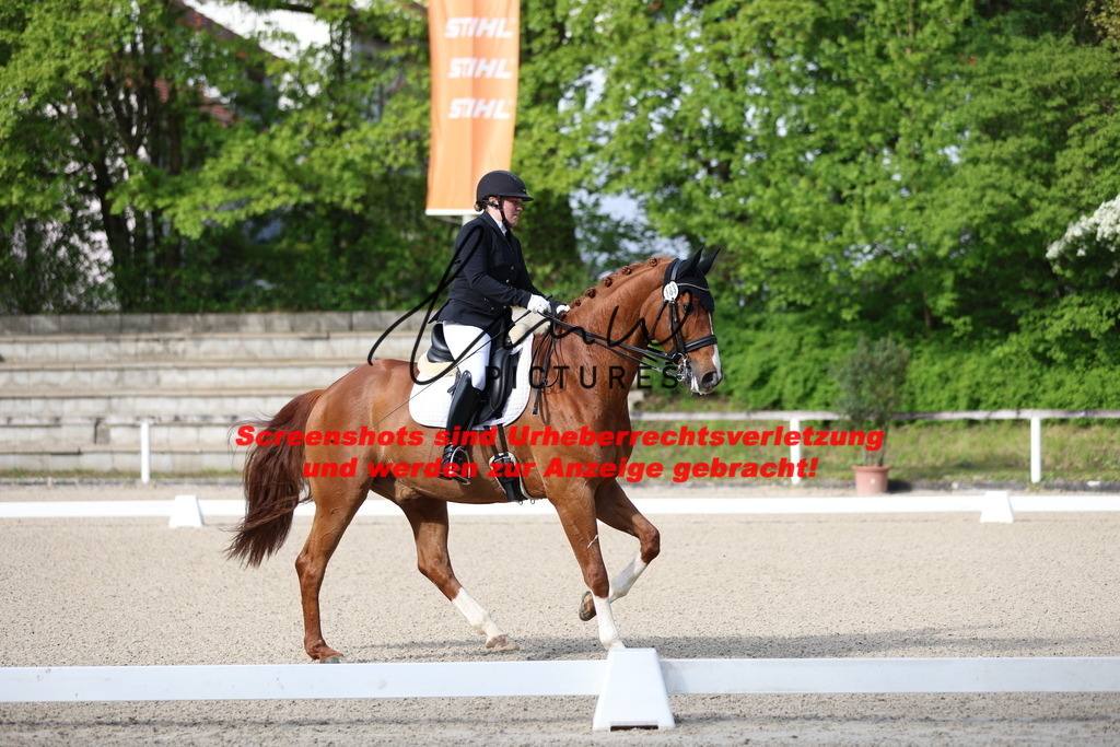 A40A3382 | lmwpictures - Realisiert mit Pictrs.com