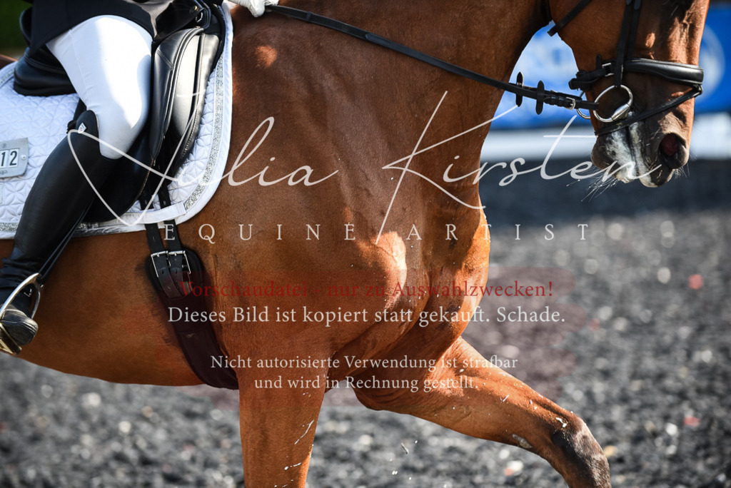 DSC_3170 | Pferde- und Turnierfotografie in Westsachsen. Pferdeportraits, Auftragszeichnungen und intuitive Kunst.