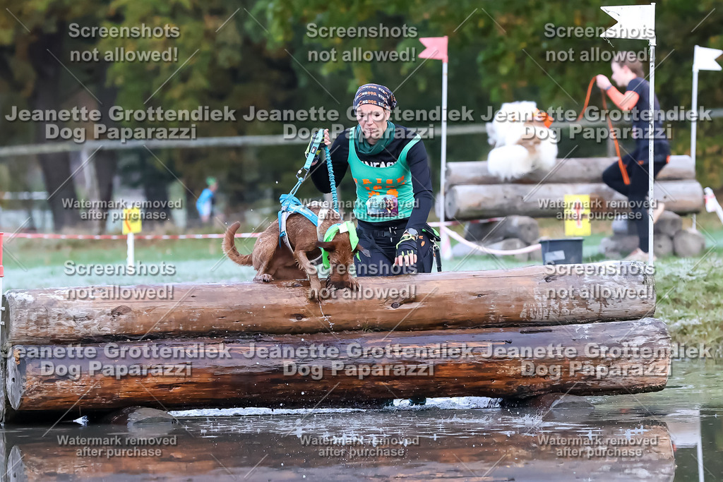 Dog Paparazzi - Strongdog 10-25-6193 | Dog Paparazzi Jeanette Grottendiek Fotografie & Videografie - Realisiert mit Pictrs.com