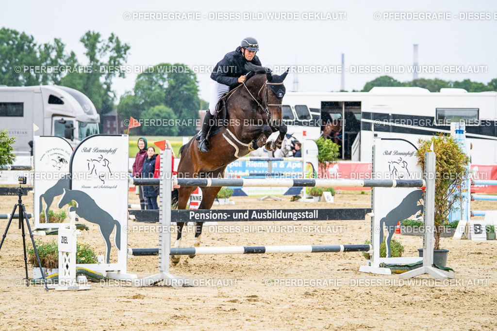 DSC07565 | Pferdegrafie