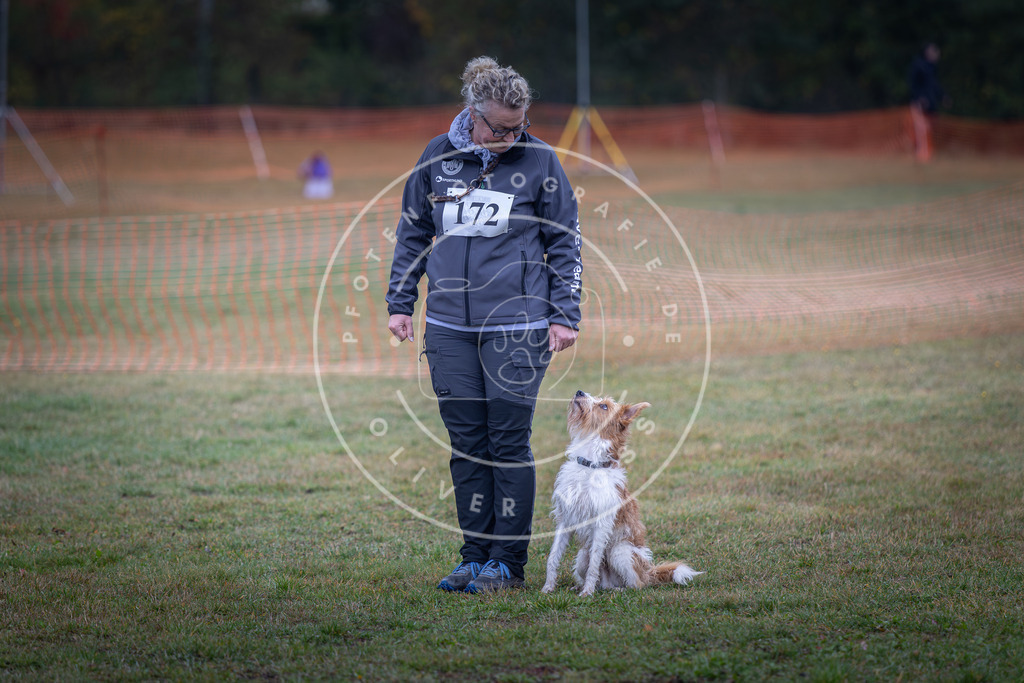 Pfotenfotografie_DV3A9196 | Hundefotografie, Tierfotograf, Pfotenfotografie, Fotoshooting Hund, Hunde Portrait, Hundesport, Hundeportraits, Heideshooting, Hunde, Sportfotograf, Hundefotograf, Turnierhundsport, THS,  - Realisiert mit Pictrs.com