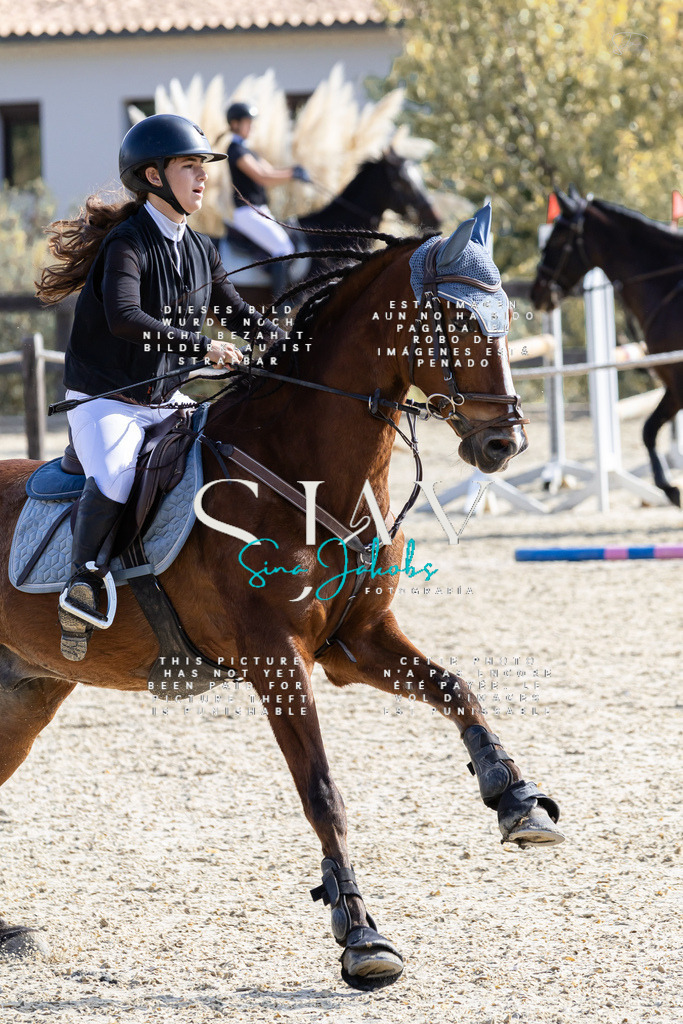 IMG_6280 | s-jay-photography - Realisiert mit Pictrs.com