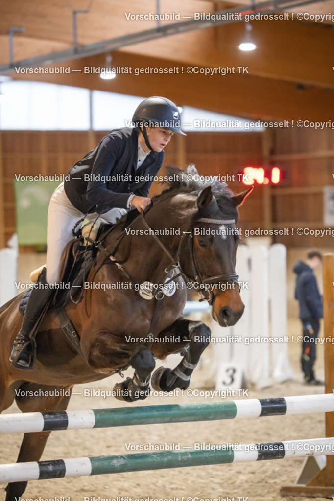 _D5A8808 | Emotionale Pferde- & People-Fotografie rund um Heidelberg, Leimen & Umgebung. Natürliche Fotos von Pferd, Mensch & Familie. Jetzt Termin sichern!