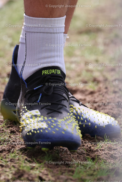 2400414_svdvsscf_2520 Kopie | Darmstadt, 14.04.2024 xjfx 1.Bundesliga SV Darmstadt 98 - SC Freiburg v.l., 





(DFL/DFB REGULATIONS PROHIBIT ANY USE OF PHOTOGRAPHS as IMAGE SEQUENCES and/or QUASI-VIDEO) - Realisiert mit Pictrs.com