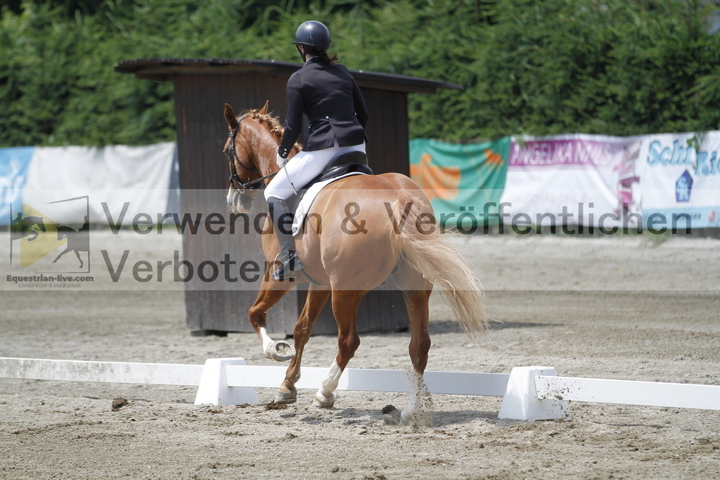 _MG_1307 | equestrian-live-com