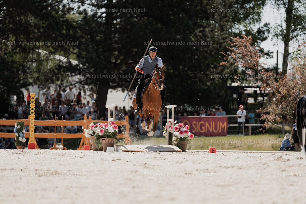 WE_SP_Stoib_339_PI2025_1511 | Pferd International München 2025