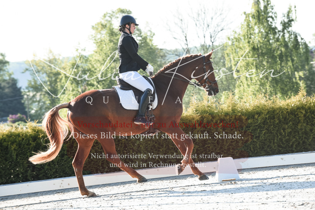 20230518_JK-Röhrsdorf-09-0159 | Pferde- und Turnierfotografie in Westsachsen. Pferdeportraits, Auftragszeichnungen und intuitive Kunst.