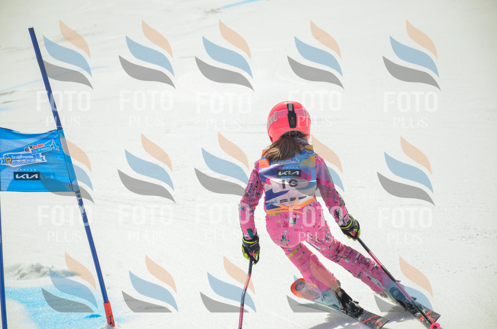 _ELE4669 | holidayphoto