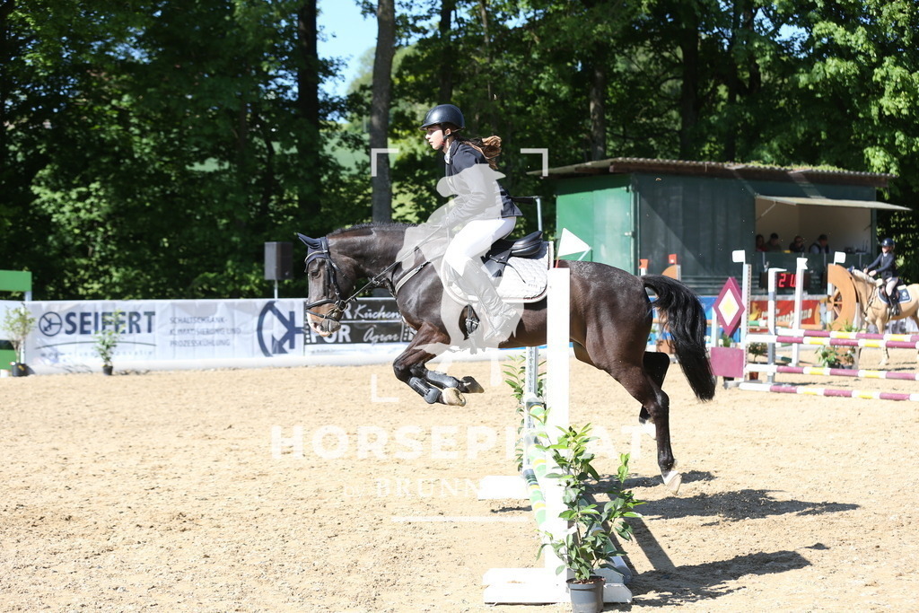 DL2Q0600 | Willkommen bei Brunnmayr - Design & Fotografie – Ihrem Spezialisten für Reitturniere und Pferdeveranstaltungen in Oberösterreich, Salzburg und Bayern! Seit über 17 Jahren sind wir leidenschaftlich dabei.