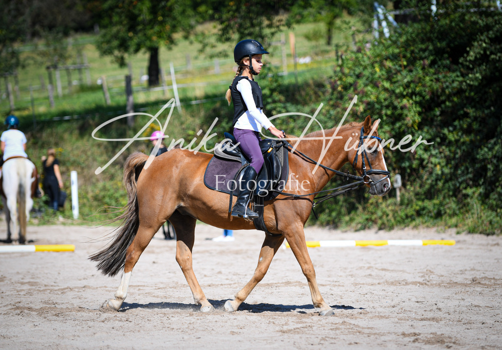 DSC_0269 | anikahuebner - Realisiert mit Pictrs.com