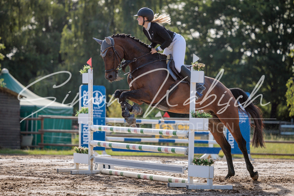 20260529-_3LI0396 | Tierfotografie Pferde, Hunde, Katzen, Haustiere.
Turnierfotografie Reitturniere, Reiten, Springreiten, Dressur in Hanau, dem Main-Kinzig-Kreis und dem Rhein-Main- Gebiet um Frankfurt