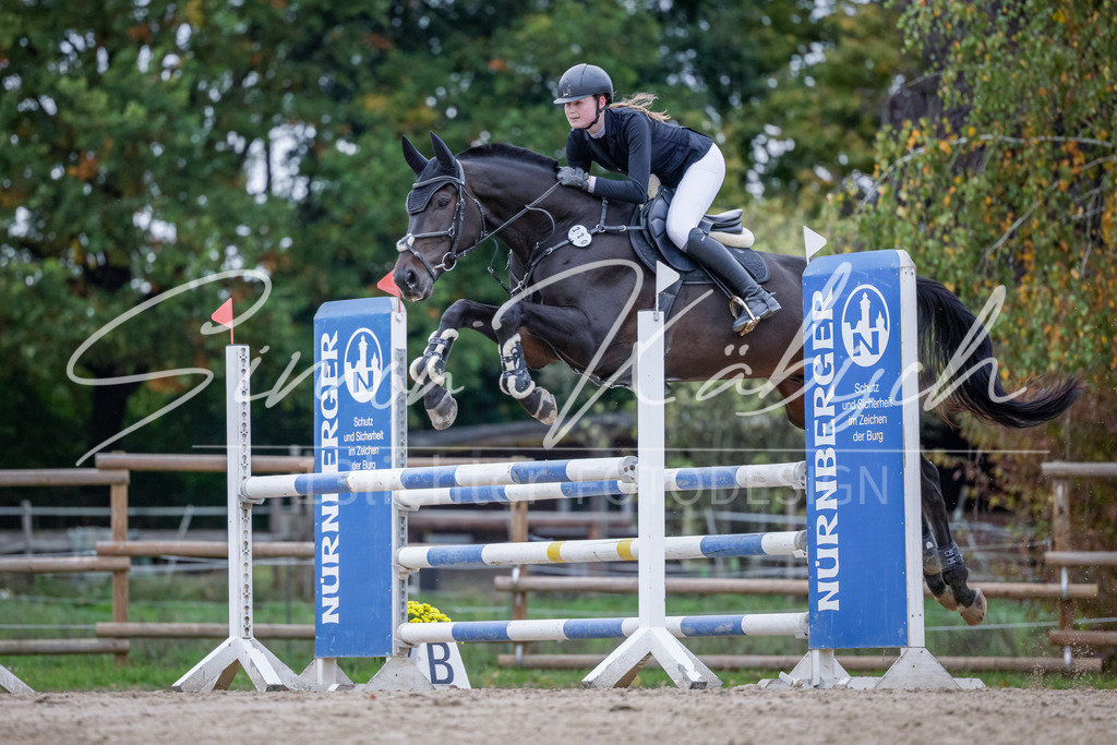 20251012-_3LI5094 | Tierfotografie Pferde, Hunde, Katzen, Haustiere.
Turnierfotografie Reitturniere, Reiten, Springreiten, Dressur in Hanau, dem Main-Kinzig-Kreis und dem Rhein-Main- Gebiet um Frankfurt