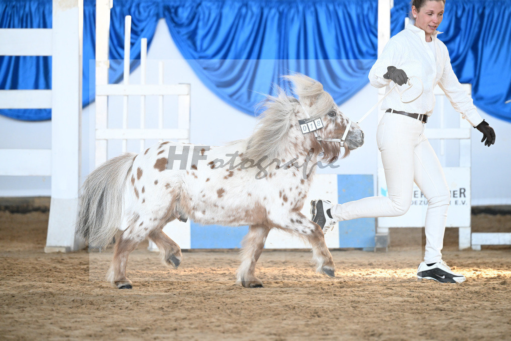 Kat-Nr. 18 Belis Nevada v. Napoleon_Hock_9260442 | hf-fotografie - Realisiert mit Pictrs.com