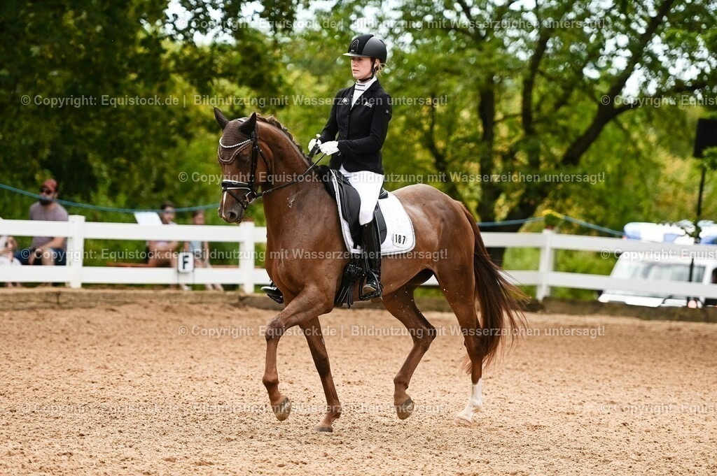20230715_07_Dressurpferdeprfg. Kl.L_0044 | equistock