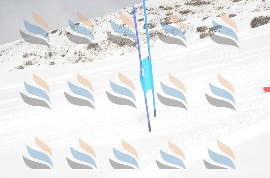 A5672 | holidayphoto