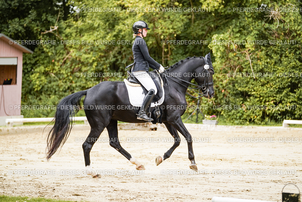 DSC03506 | Pferdegrafie