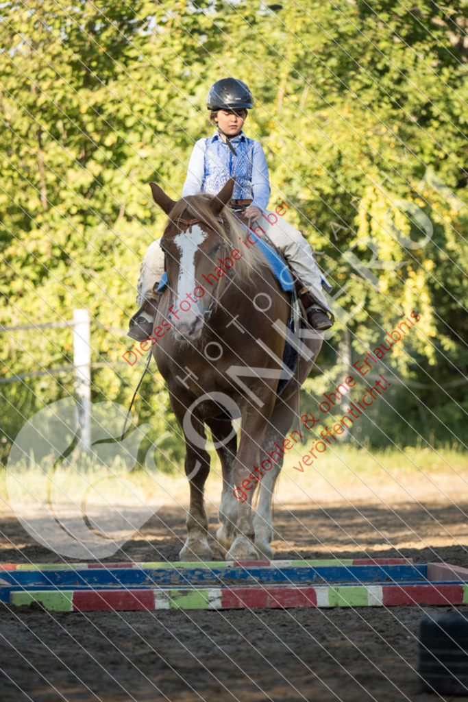 IMG_6165 | Sport-, Event- und Tierfotos in Profiqualität. Einfach auswählen, bestellen und herunterladen. Dein Moment – perfekt festgehalten.
