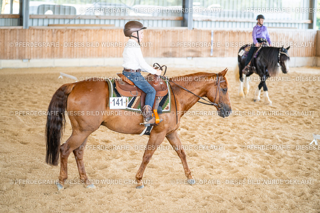 DSC03186 | Pferdegrafie