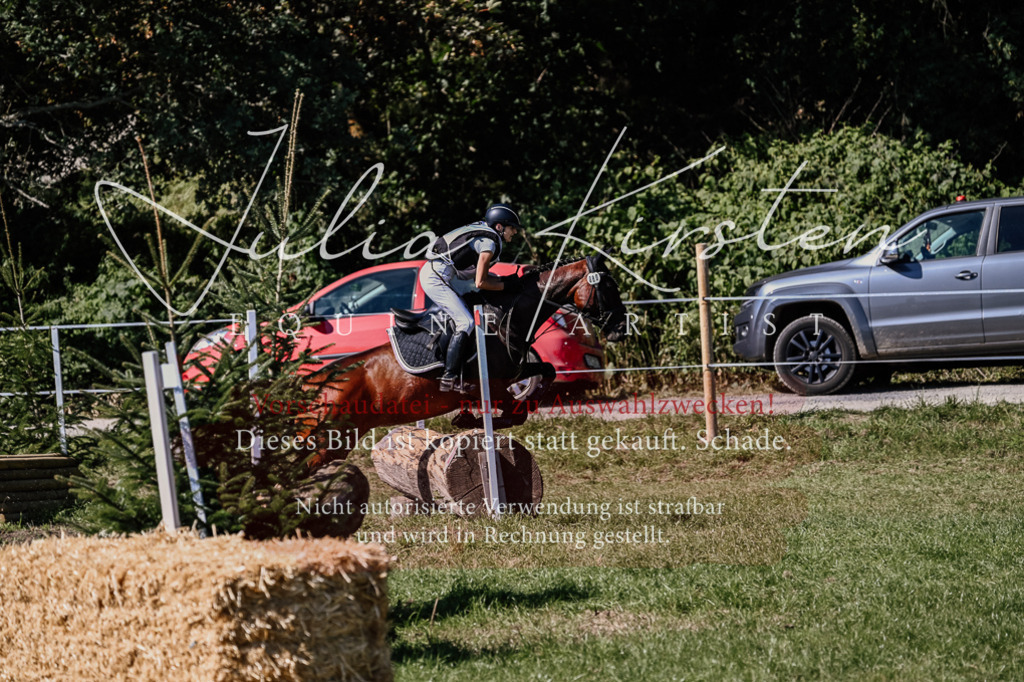 DSC_1748 | Pferde- und Turnierfotografie in Westsachsen. Pferdeportraits, Auftragszeichnungen und intuitive Kunst.