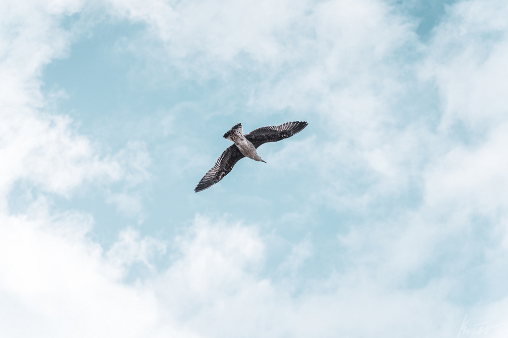 _DSC1889-3 | In meinem Onlineshop biete ich nur sehr kritisch ausgewählte Fotografien an. Diese sind von meinen Reisen oder Kurztrips. Ich habe sie ausgewählt, da diese meiner Meinung Nach wunderbare Wandbilder darstellen.  - Realisiert mit Pictrs.com