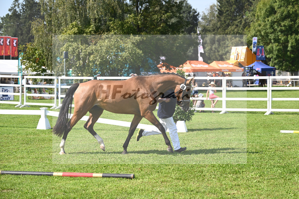 Kat-Nr. 20 Alice M_Mayer_34240477 | hf-fotografie - Realisiert mit Pictrs.com