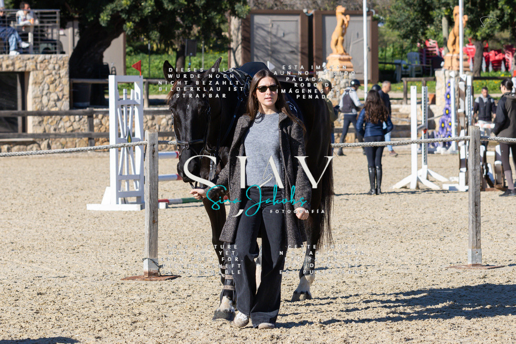 IMG_2072 | s-jay-photography - Realisiert mit Pictrs.com