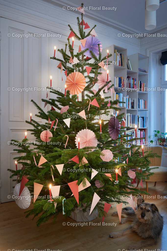 Modern geschmückter Tannenbaum | moderner Tannenbaum im Wohnzimmer mit Hund - Realized with Pictrs.com