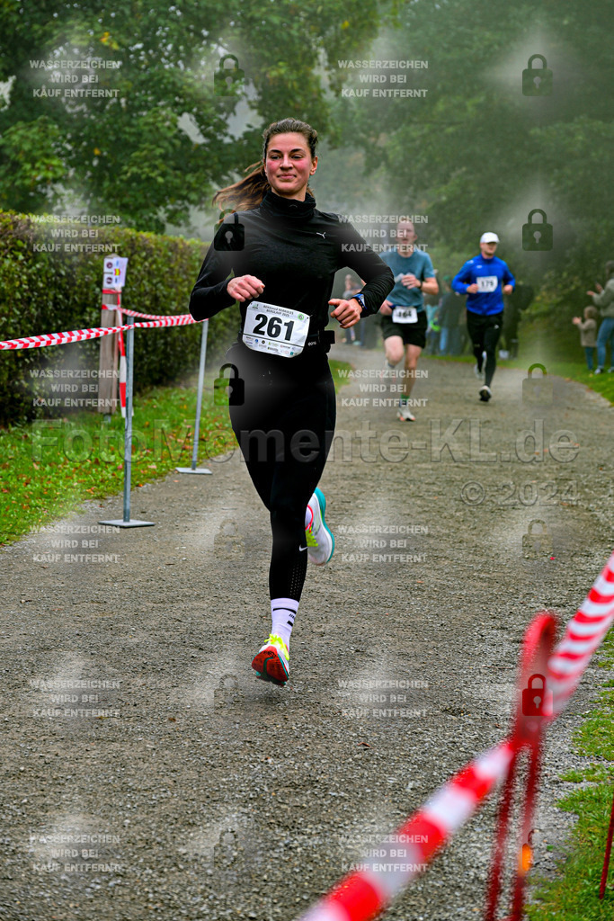 Z8N_1542 | la-psv - Realisiert mit Pictrs.com