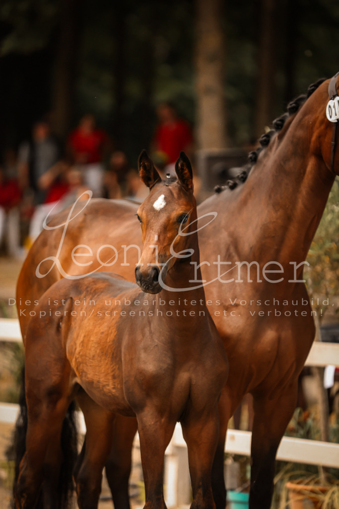 SaPA00213 | Leoni Ertmer Photography - Realisiert mit Pictrs.com