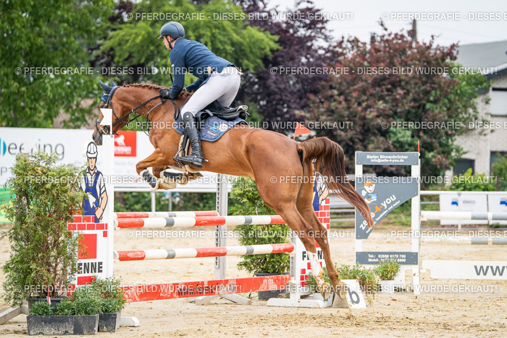 DSC09937 | Pferdegrafie