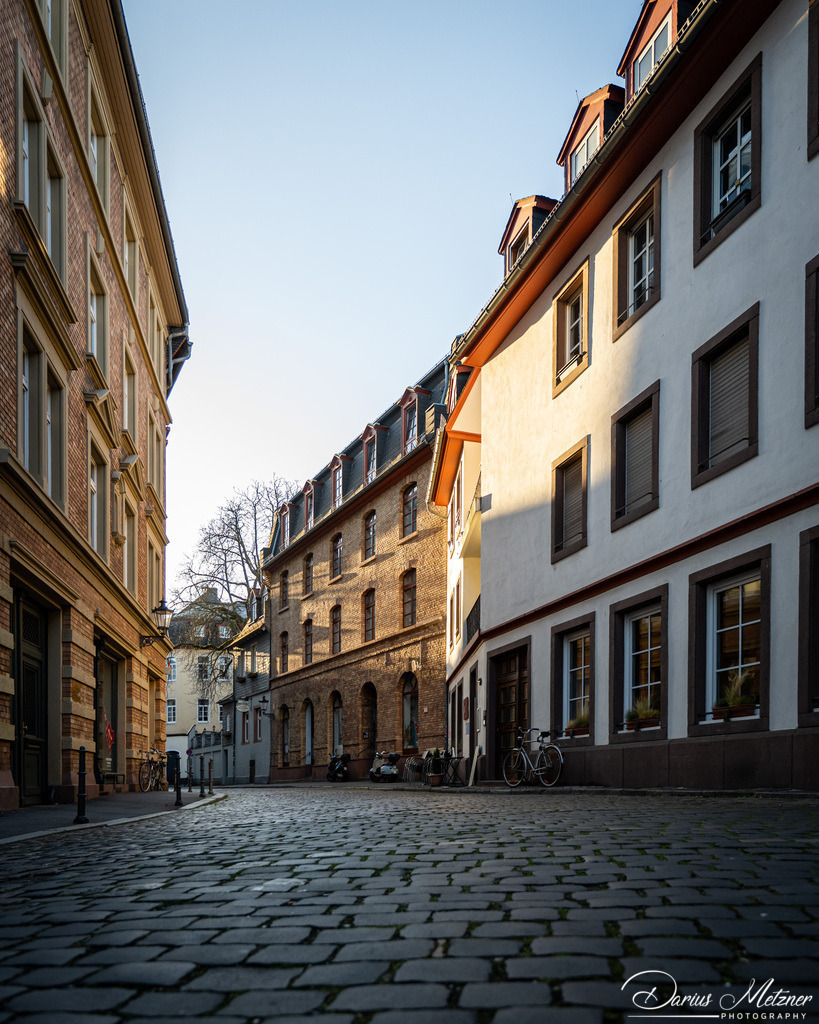 DSC_0563 | Fotografien, Fotos und Bilder aus Mainz, Frankfurt, Wiesbaden und anderen Orten auf der Welt - Fotografiert von Darius Metzner