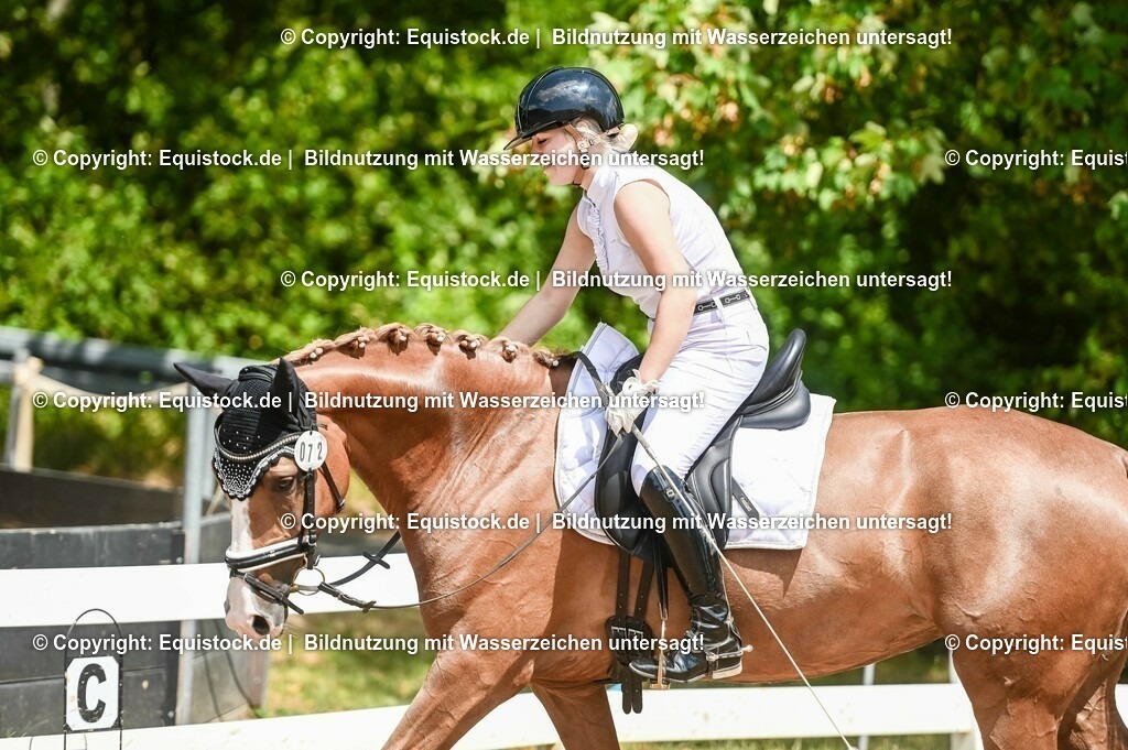 20230716_03_Dressurprfg. Kl.L - Tr._0543 | equistock