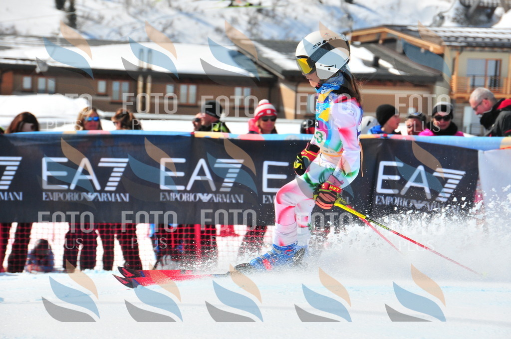 DSC_1213 | holidayphoto