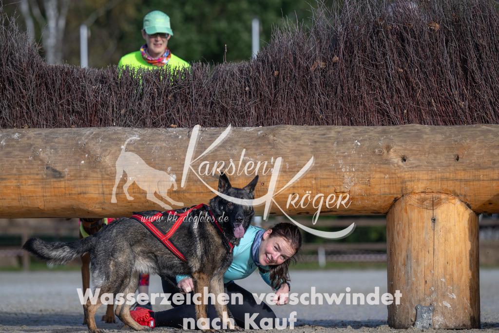 1055-_ZZ93273 | kk-dogfotos