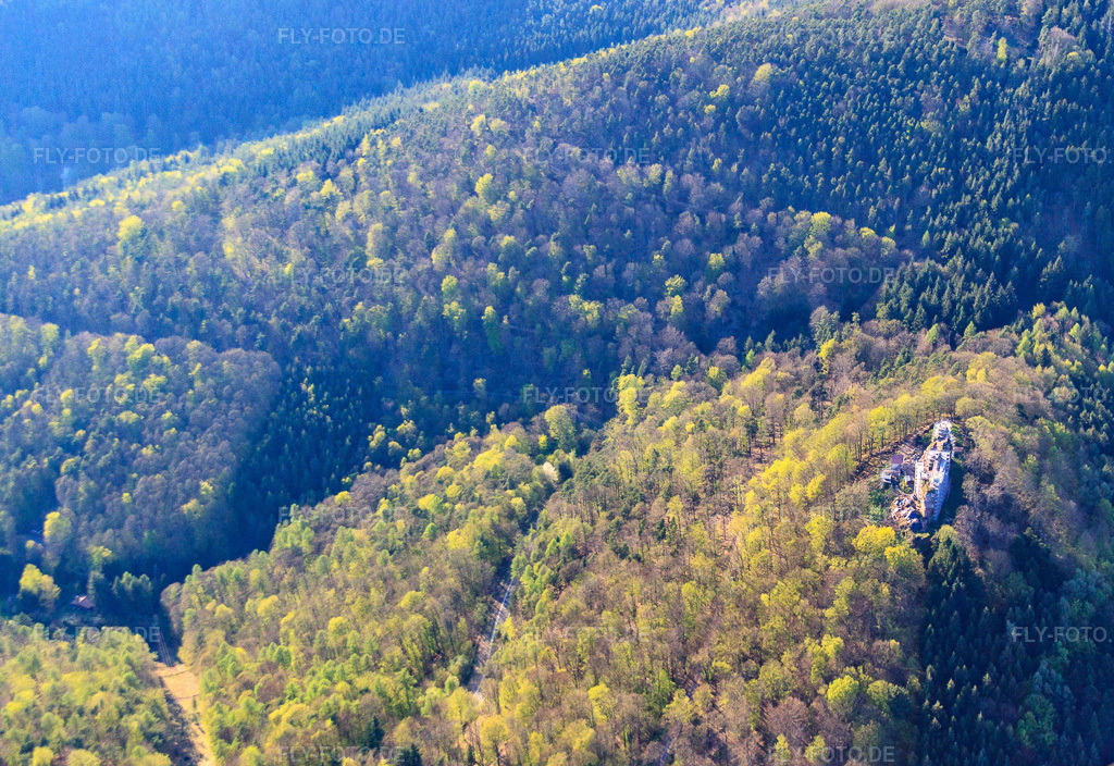 Luftbild: Burgruine Meisteresel in Ramberg im Bundesland Rheinland-Pfalz in Deutschland. Foto: IMG_56653.jpg vom 25.04.2013 durch Werner Riehm/FLY-FOTO.de