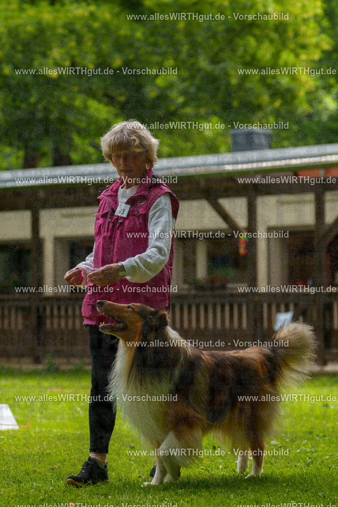 @allesWIRTHgut_Tierfotografie - www.allesWIRTHgut.de - 095221-7R507779 | Professionelle Tierfotografie in Mönchengladbach von Daniel Wirth (allesWIRTHgut). Liebevolle & natürliche Bilder von Hunden & Katzen für unvergessliche Erinnerungen.