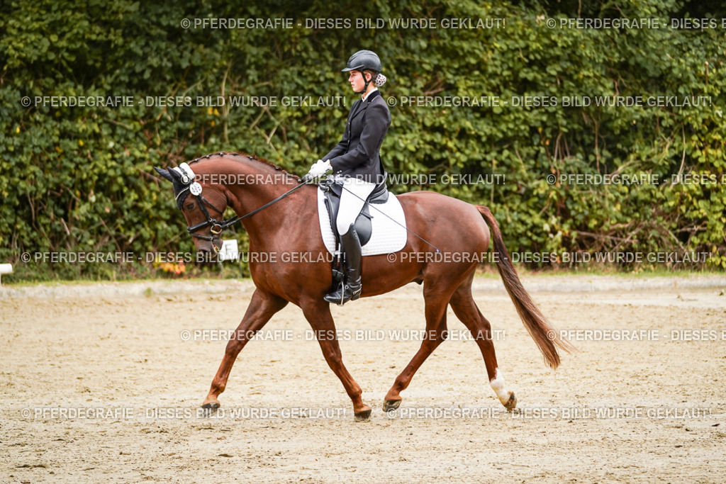 DSC00293 | Pferdegrafie